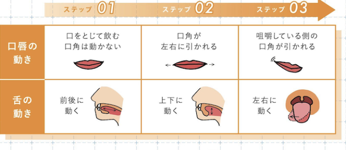 幼児期の口腔機能獲得の順序の図表